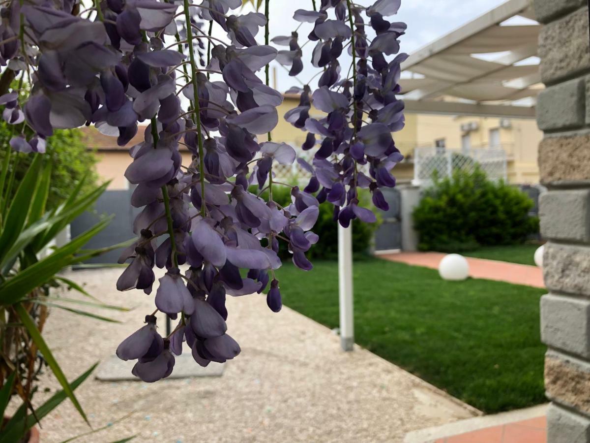 City Garden Guest House Olbia Kültér fotó